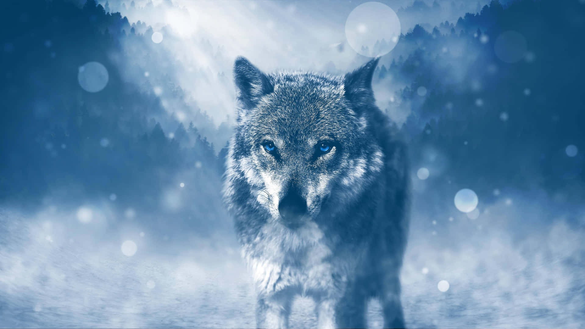 Wolf Aesthetic Wallpaper