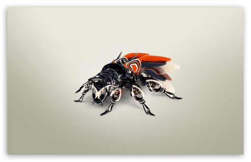 Biomechanics African Bee HD Wallpaper For Standard Fullscreen