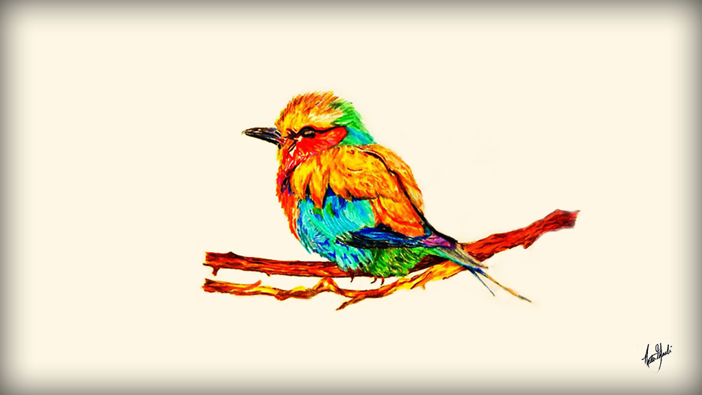 Bird wallpaper I edited from a friends oil painting Made it for
