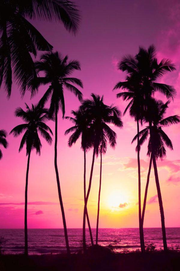 Cell Phone Background That Will Get You In The Mood For Summer