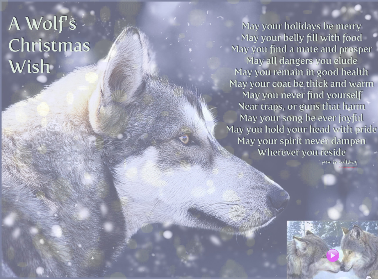 Wolf S Christmas Wish Publish With Glogster