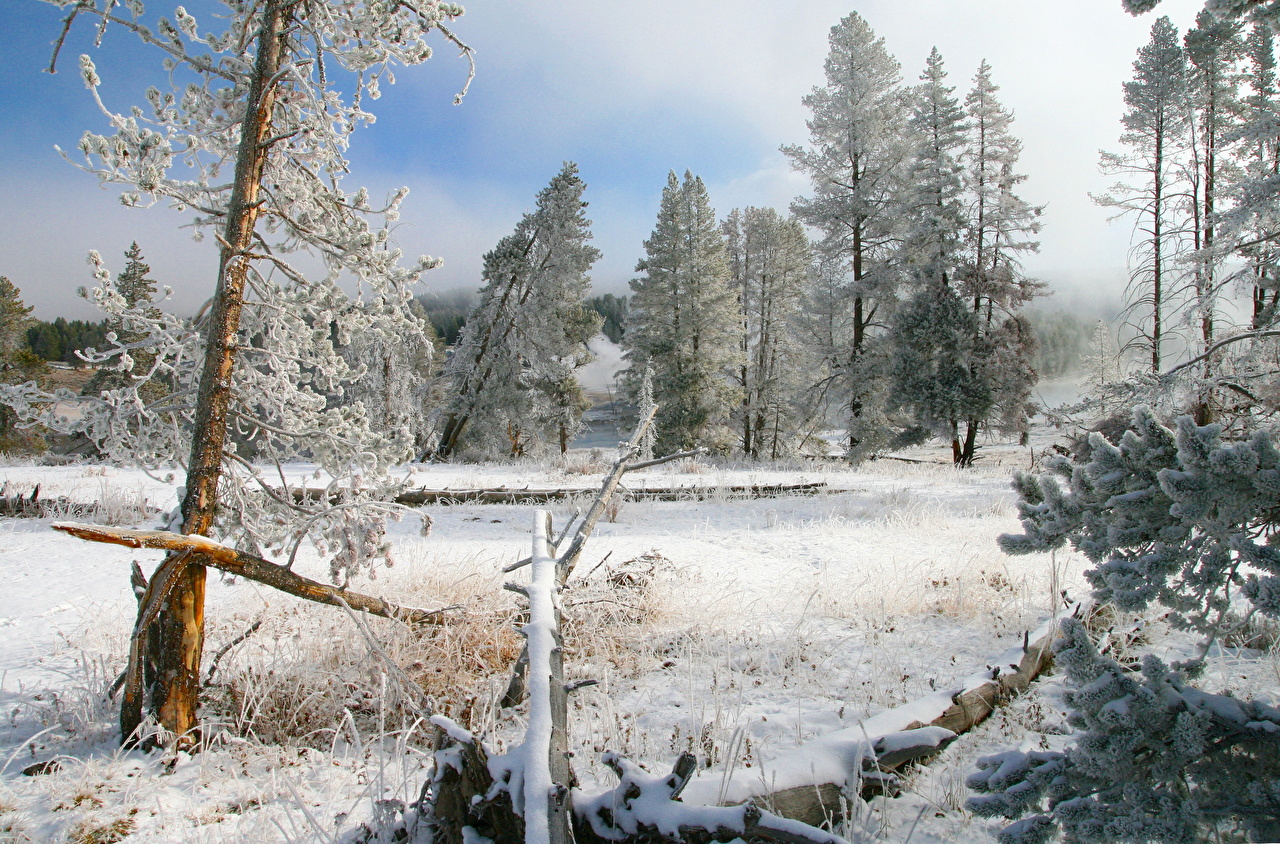 Image Yellowstone Usa Wyoming Winter Nature Snow Seasons