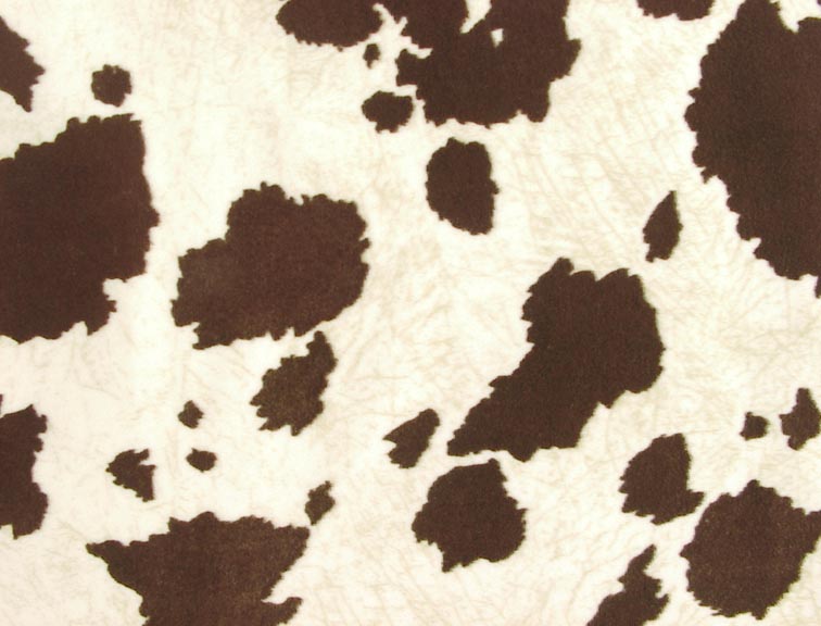 Cow Print Wallpaper  NawPic