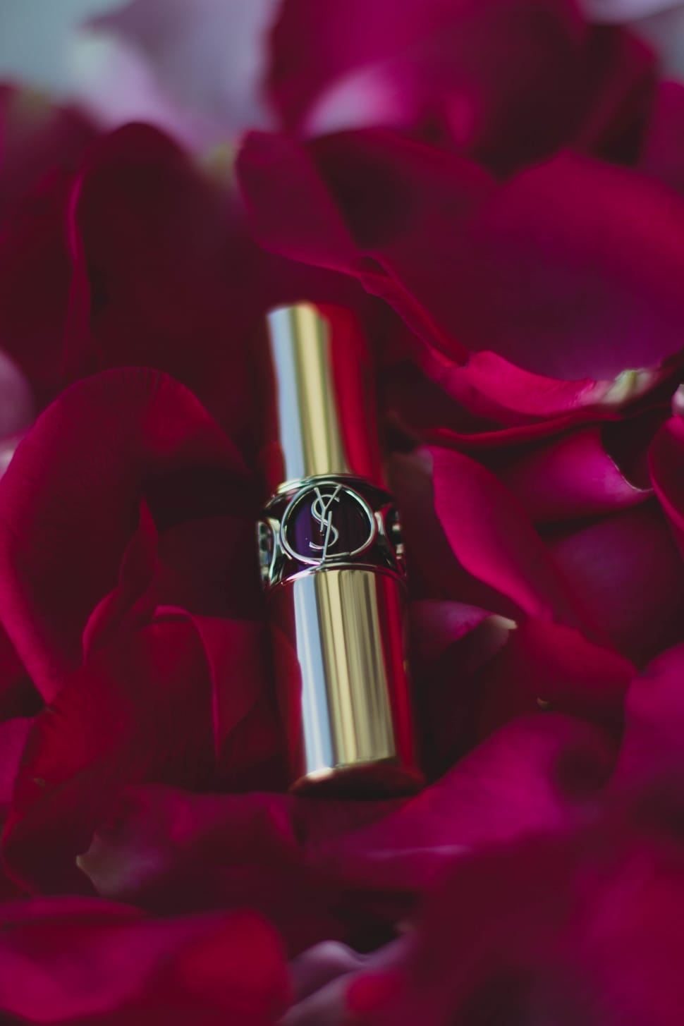 Yves Saint Laurent Lipstick Surrounded With Red Rose Petals