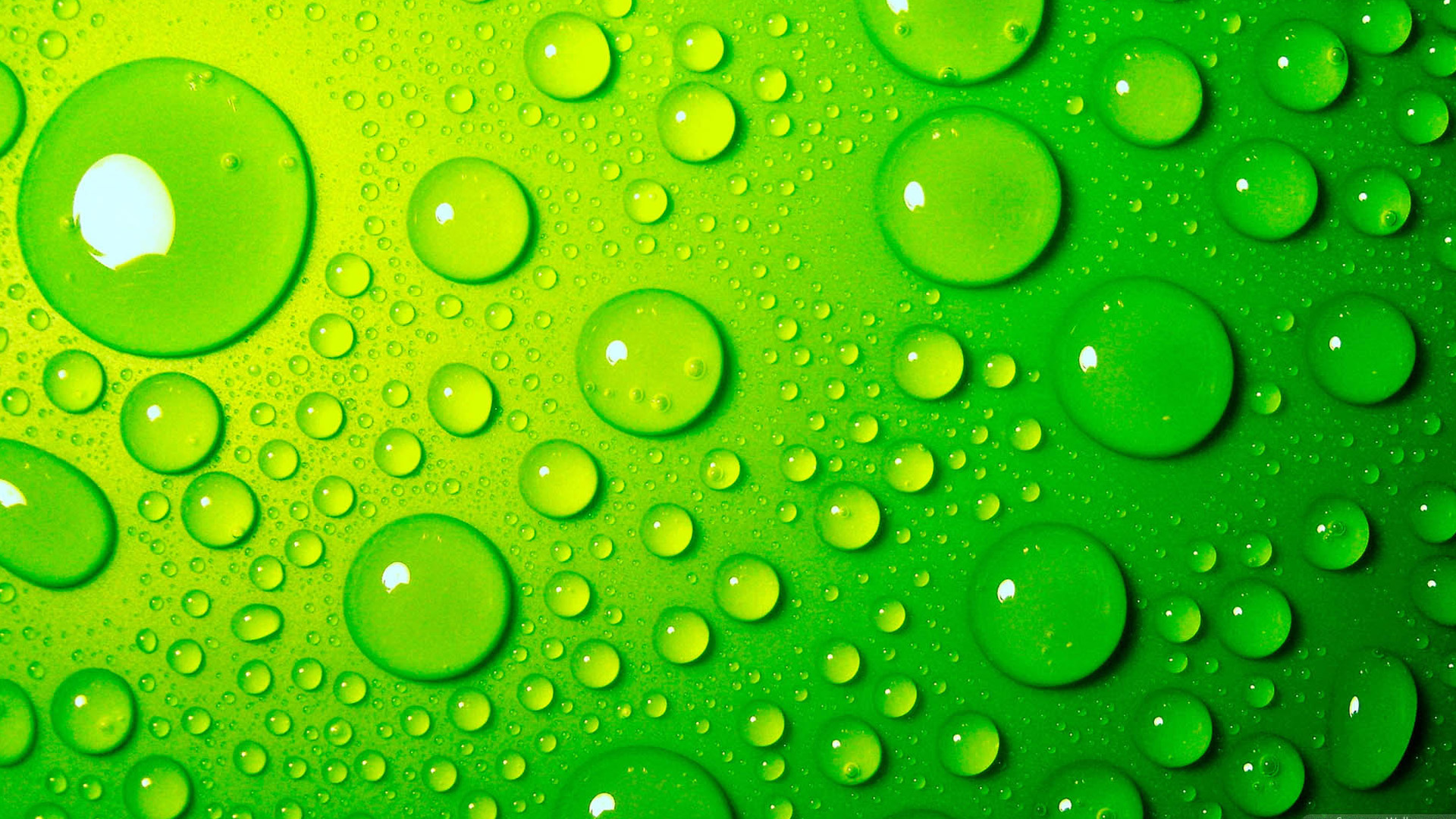 Seductive Green Water Droplets Background Wallpaper Background