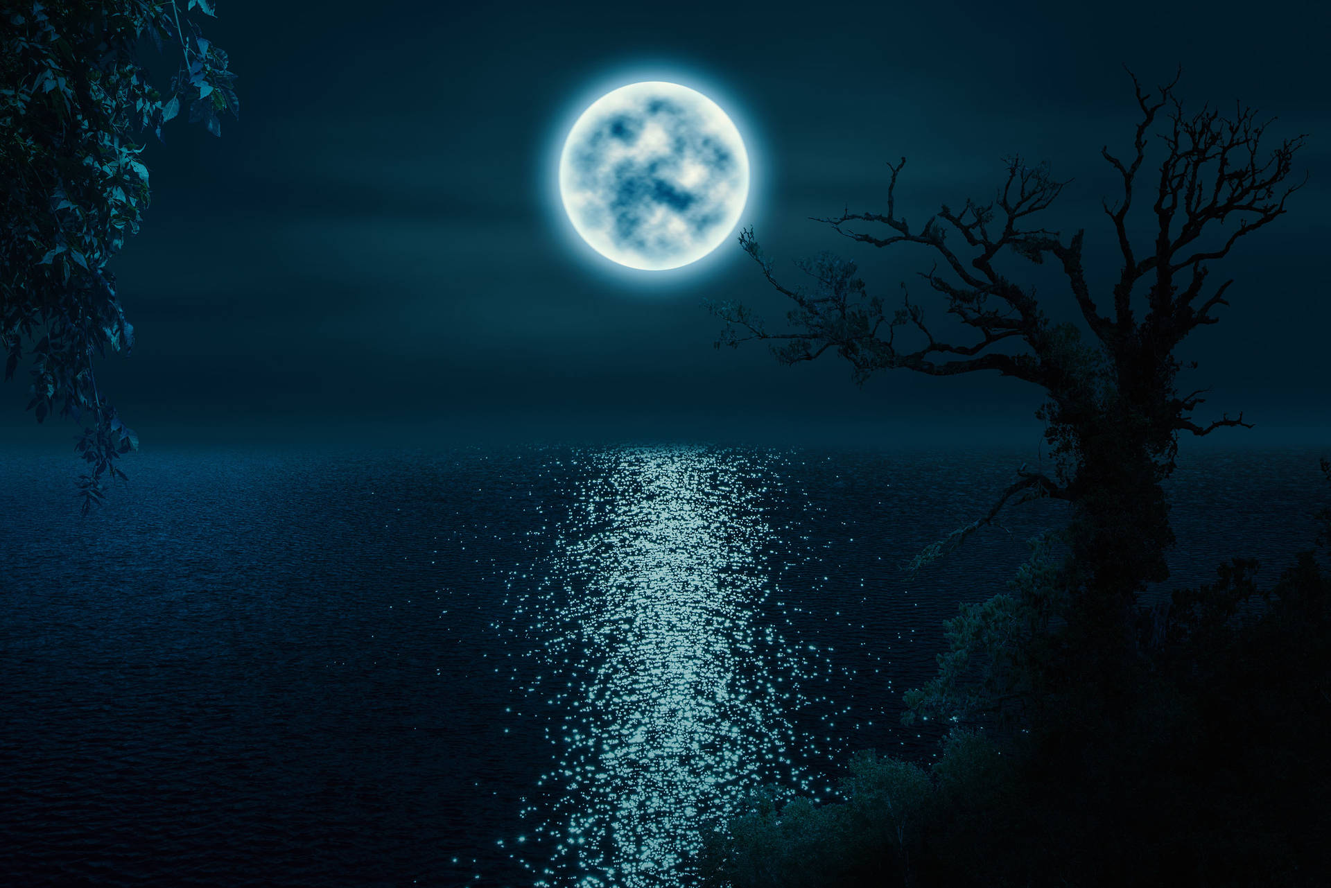 Moon Night Sky Wallpaper