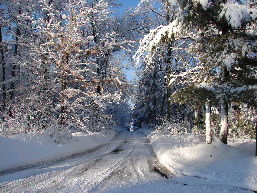 Wisconsin Woods Winter Road By Fantasystock