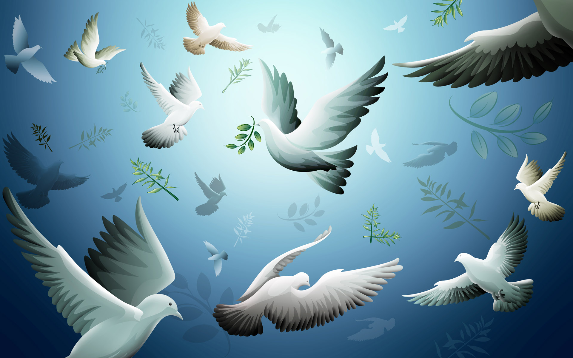 Flock Doves Background Wallpapaer Original Wallpaper