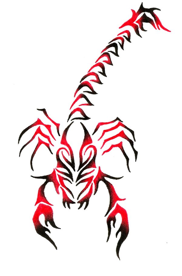 36+] Tribal Scorpion Wallpaper - WallpaperSafari