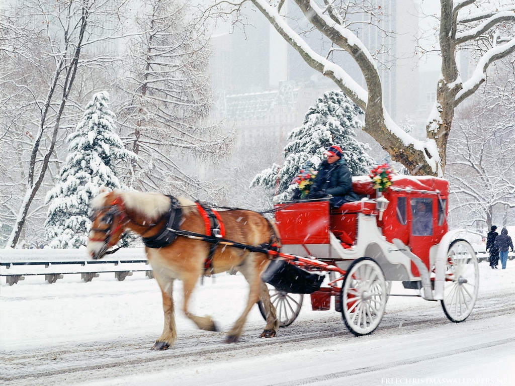 Christmas Hansom Cab Central Park New York1024