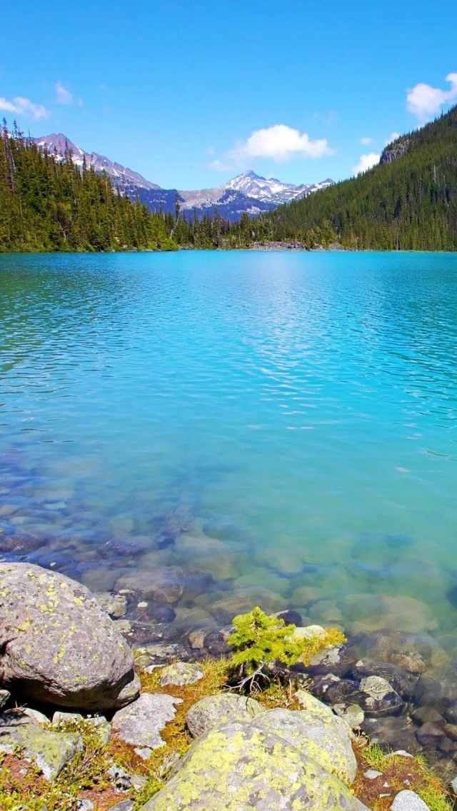 Provincial Park British Columbia Canada iPhone Wallpaper