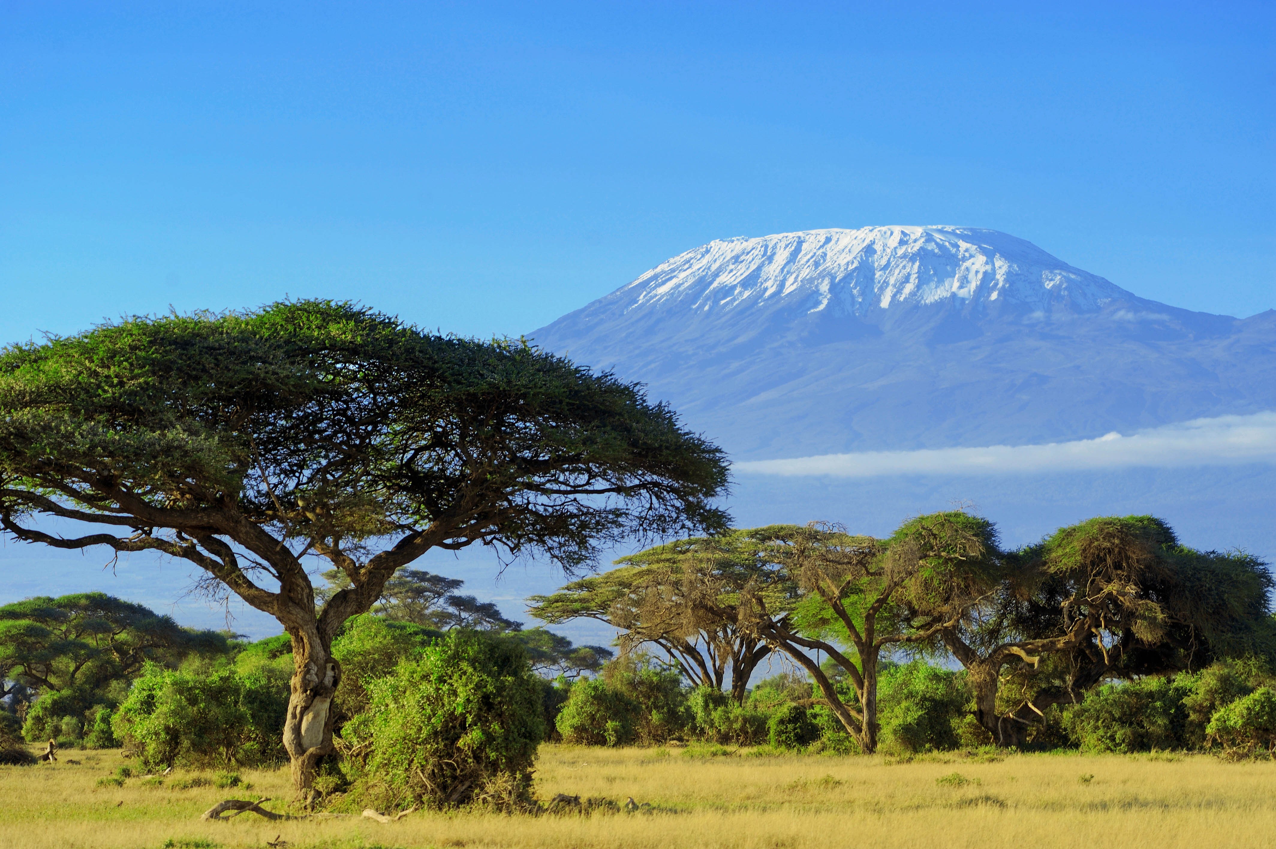 Mount Kilimanjaro Wallpaper X