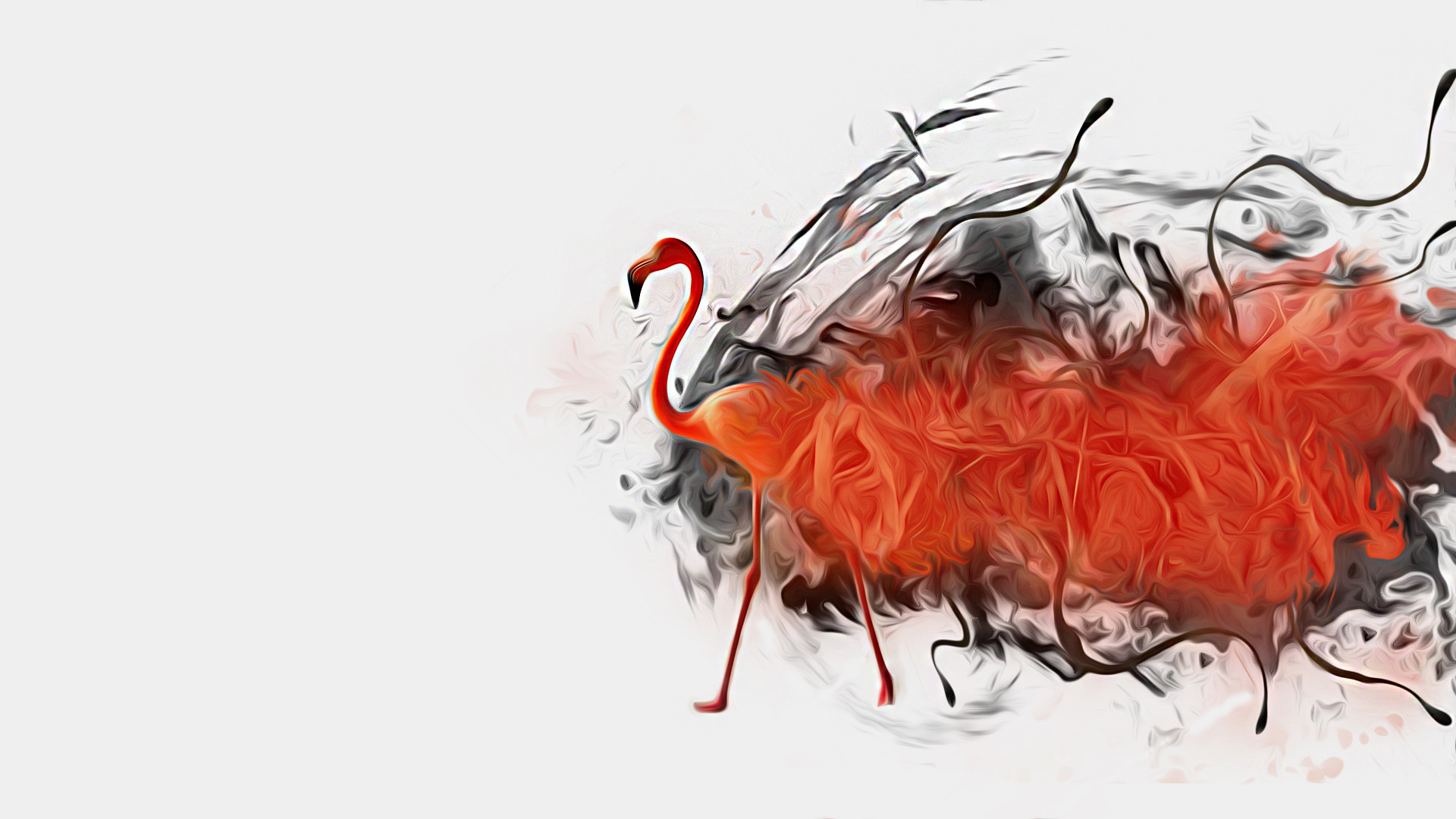 Paint Explosion Wallpaper Piccit Flamingo