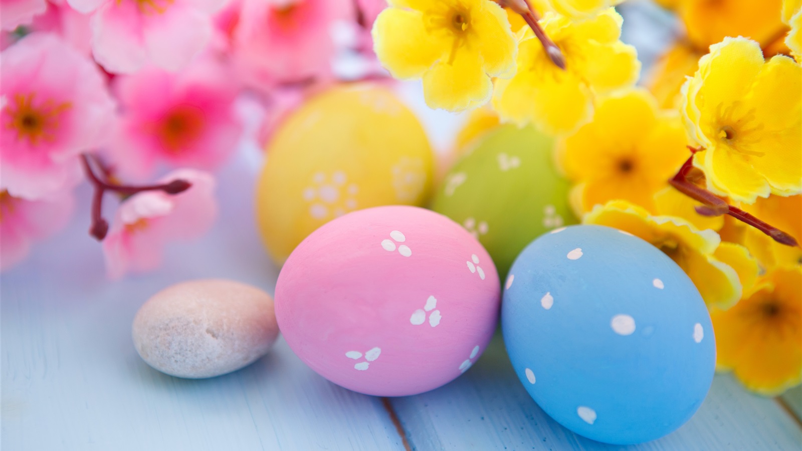 Easter Flowers Eggs Spring Wallpaper Resolution