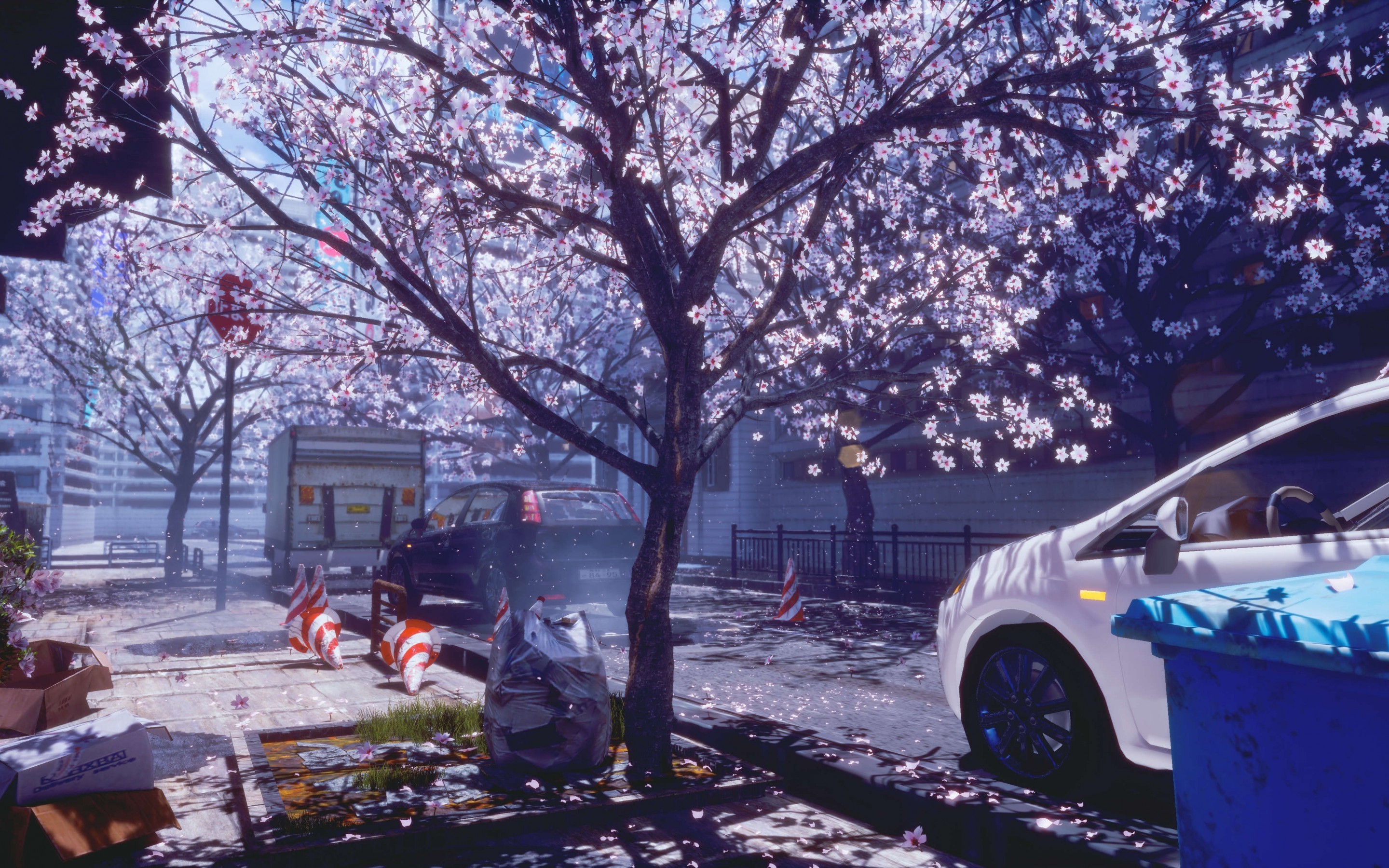 Anime City Spring Cherry Blossom Wallpaper