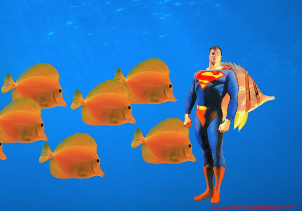 Desktop Wallpaper Superman Standing Tall At Fishes Aquarium
