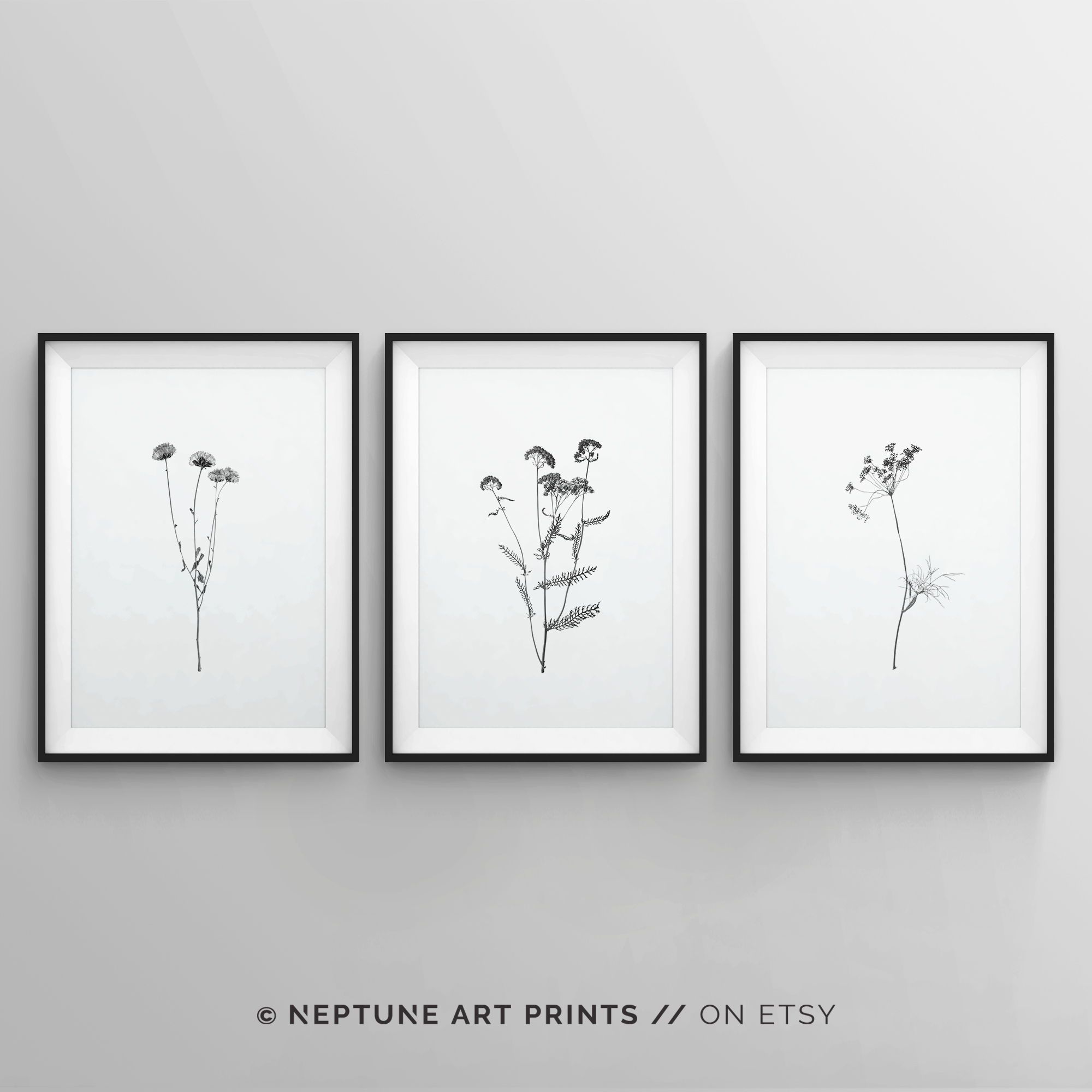 Set Of Black And White Art Prints Minimalist Wall Modern Floral Flowers Poster Wallpaper