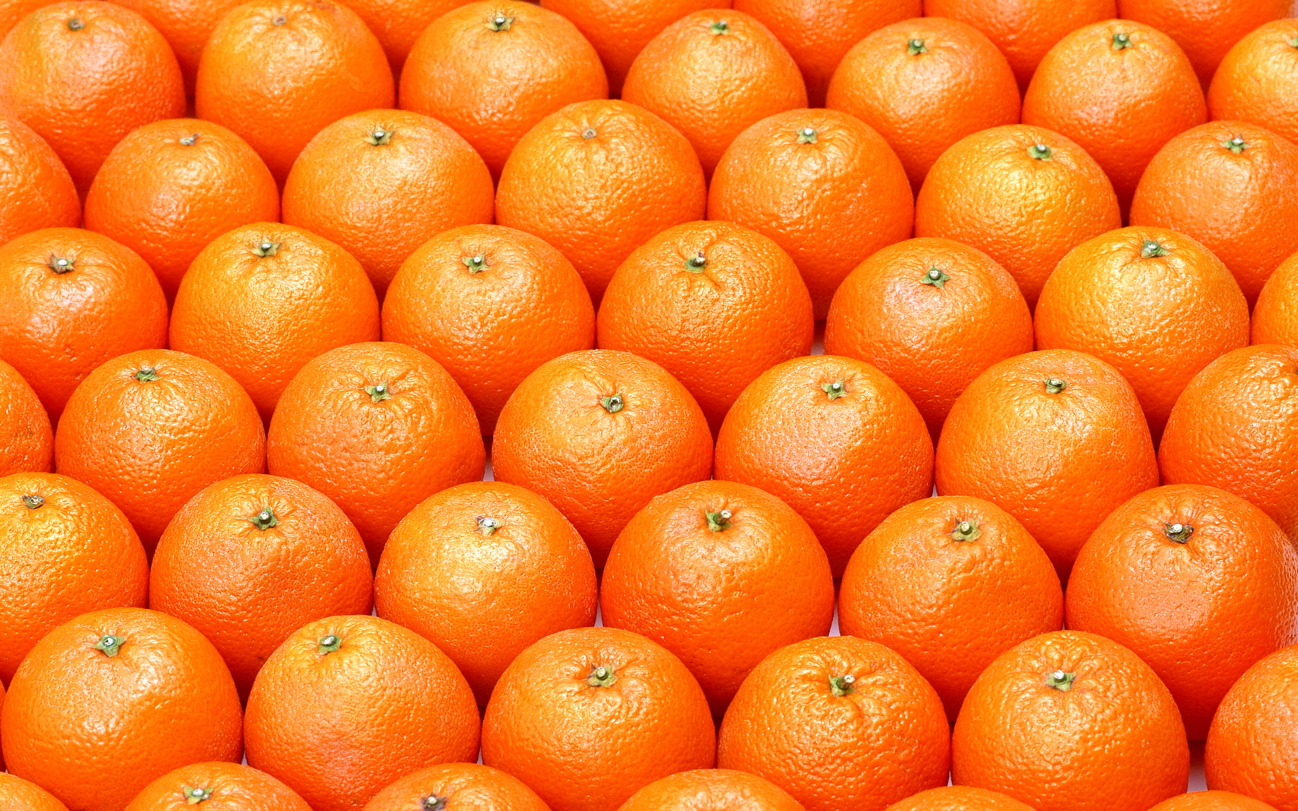 Oranges Wallpaper Gallery Yopriceville High Quality Image