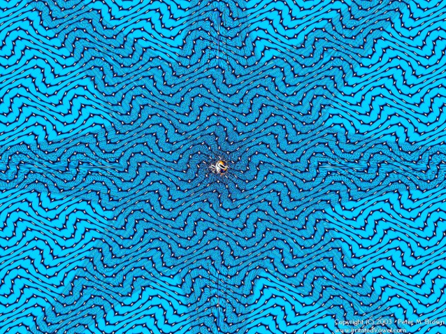 An Interesting Blue Fractal Maze Like Structure