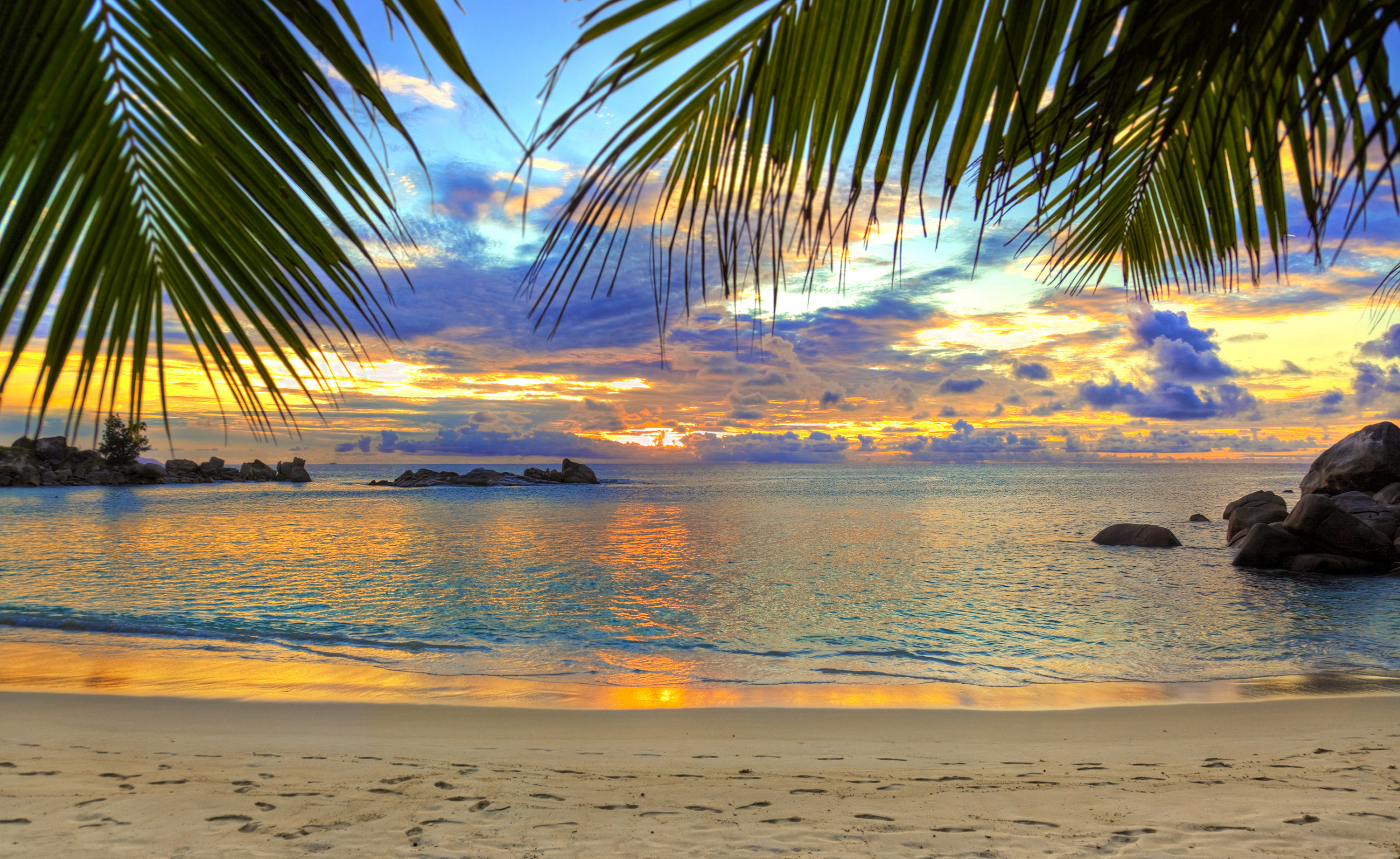 Sunset on a tropical beach with palm trees and rocks, Cool Beach Wallpapers