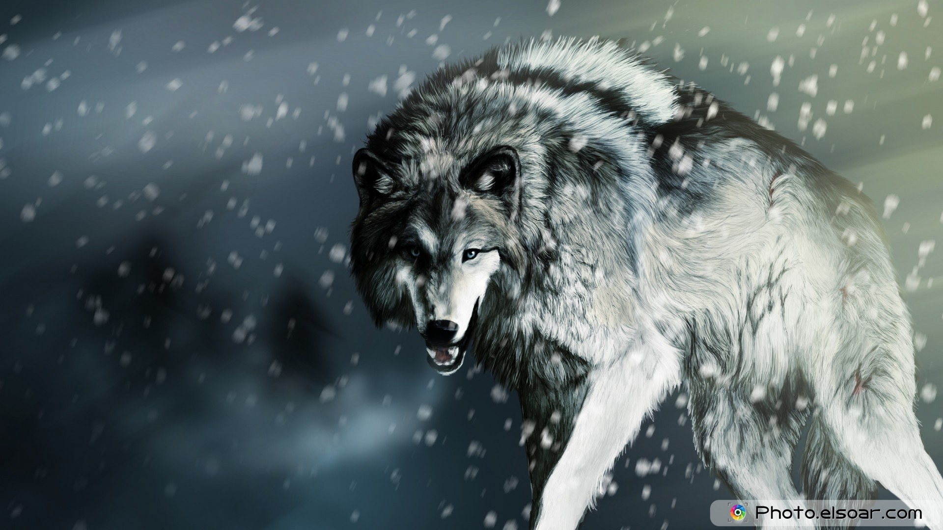 Awesome Wolf HD Wallpaper