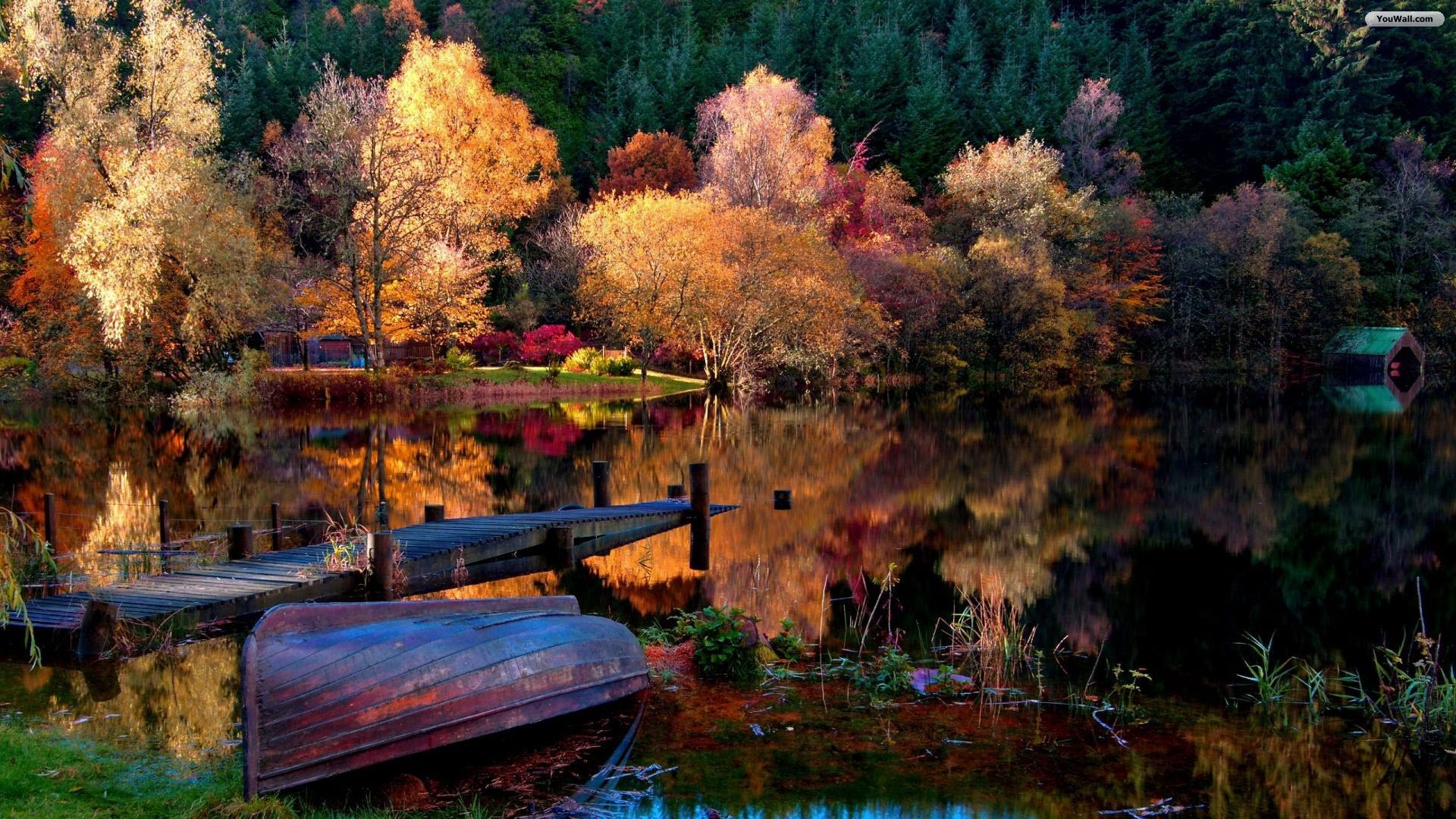 Youwall Autumn Lake Wallpaper