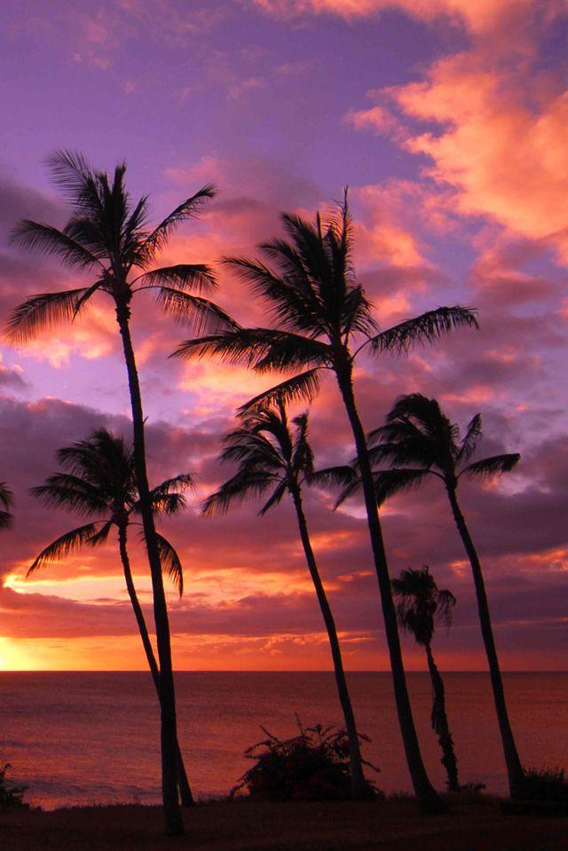 Hawaii Sunset Sunset iphone wallpaper Nature photography Beach