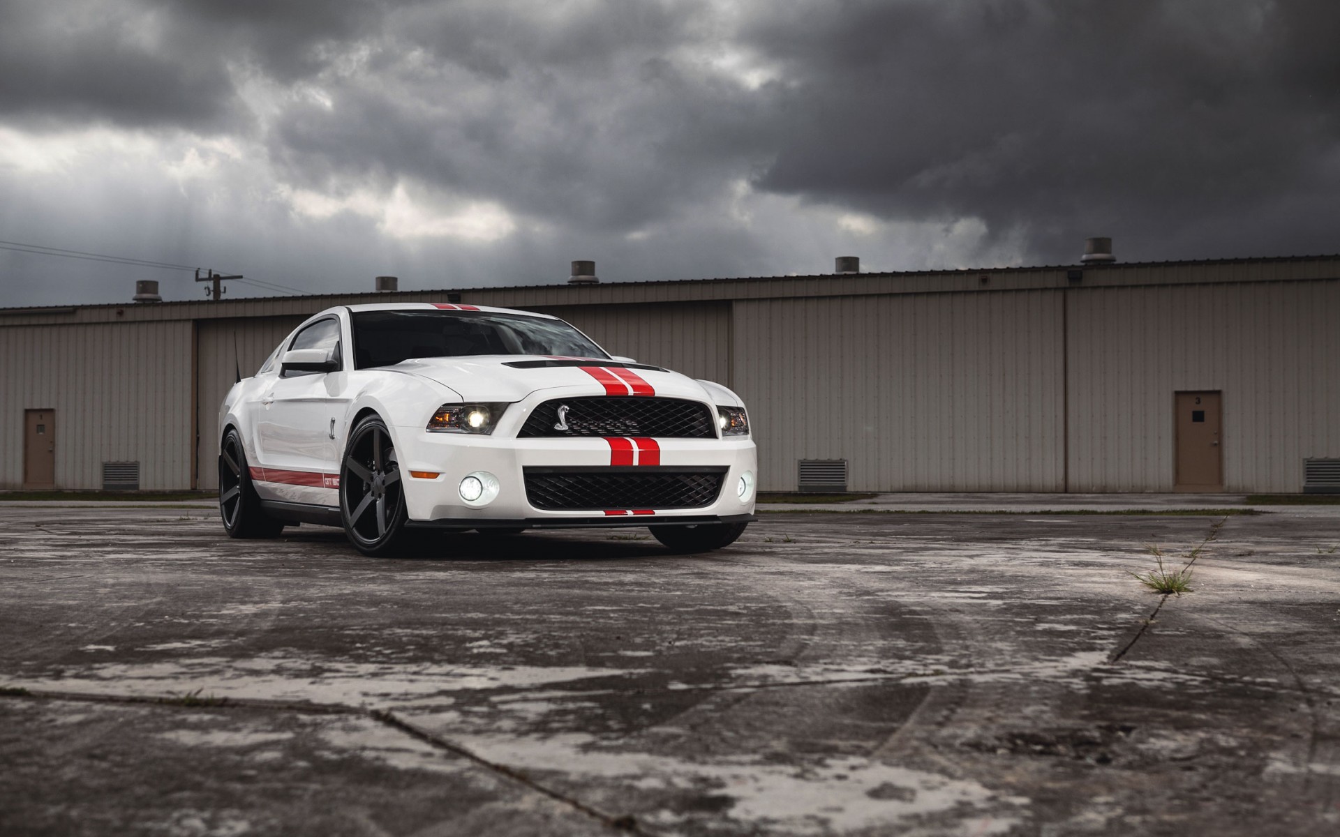 Ford Mustang Gt500 Shelby Muscle Car Wallpaper HD