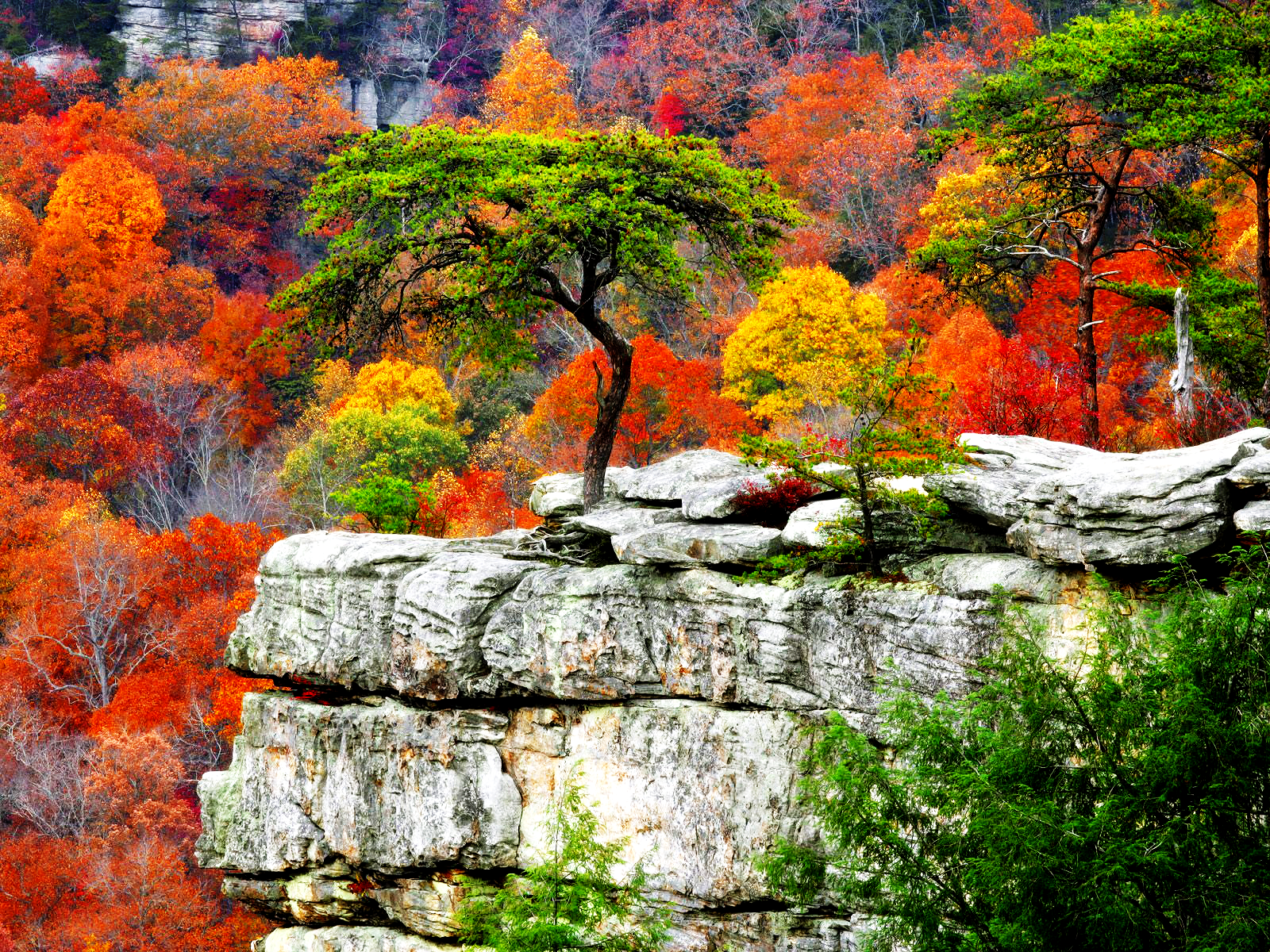 Fall Scenery Background Png Nature HD