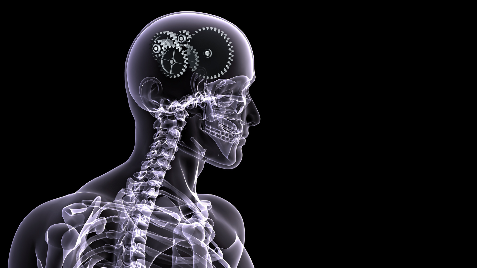 Photography X Ray Man Skeletal Brain Gear Skeleton Wallpaper