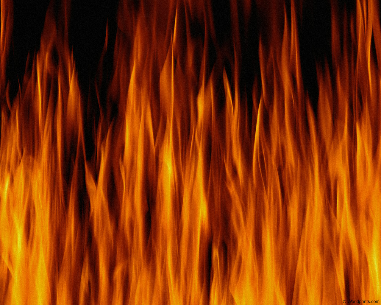 Fire Background Texture Photo