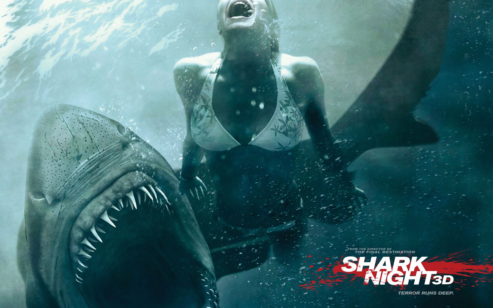 Shark Night 3d Movie Wallpaper Joblo