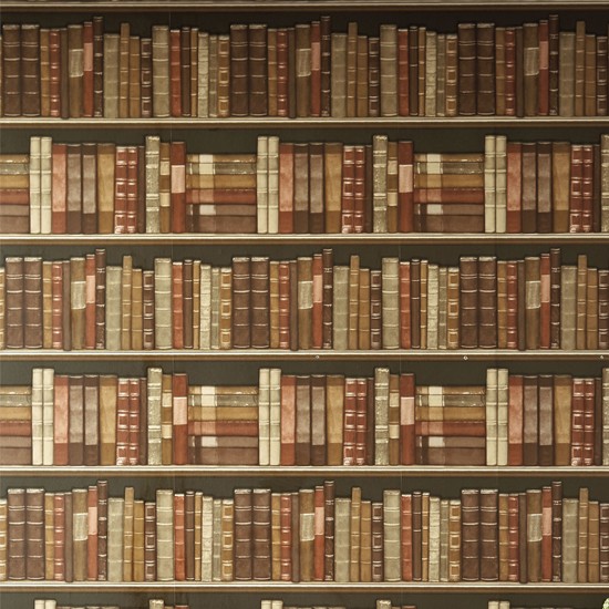 47 Bookcase Wallpaper On Wallpapersafari