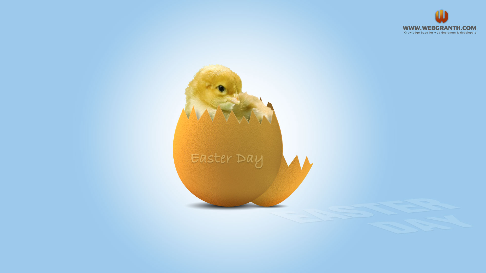 Easter Chick Wallpaper On
