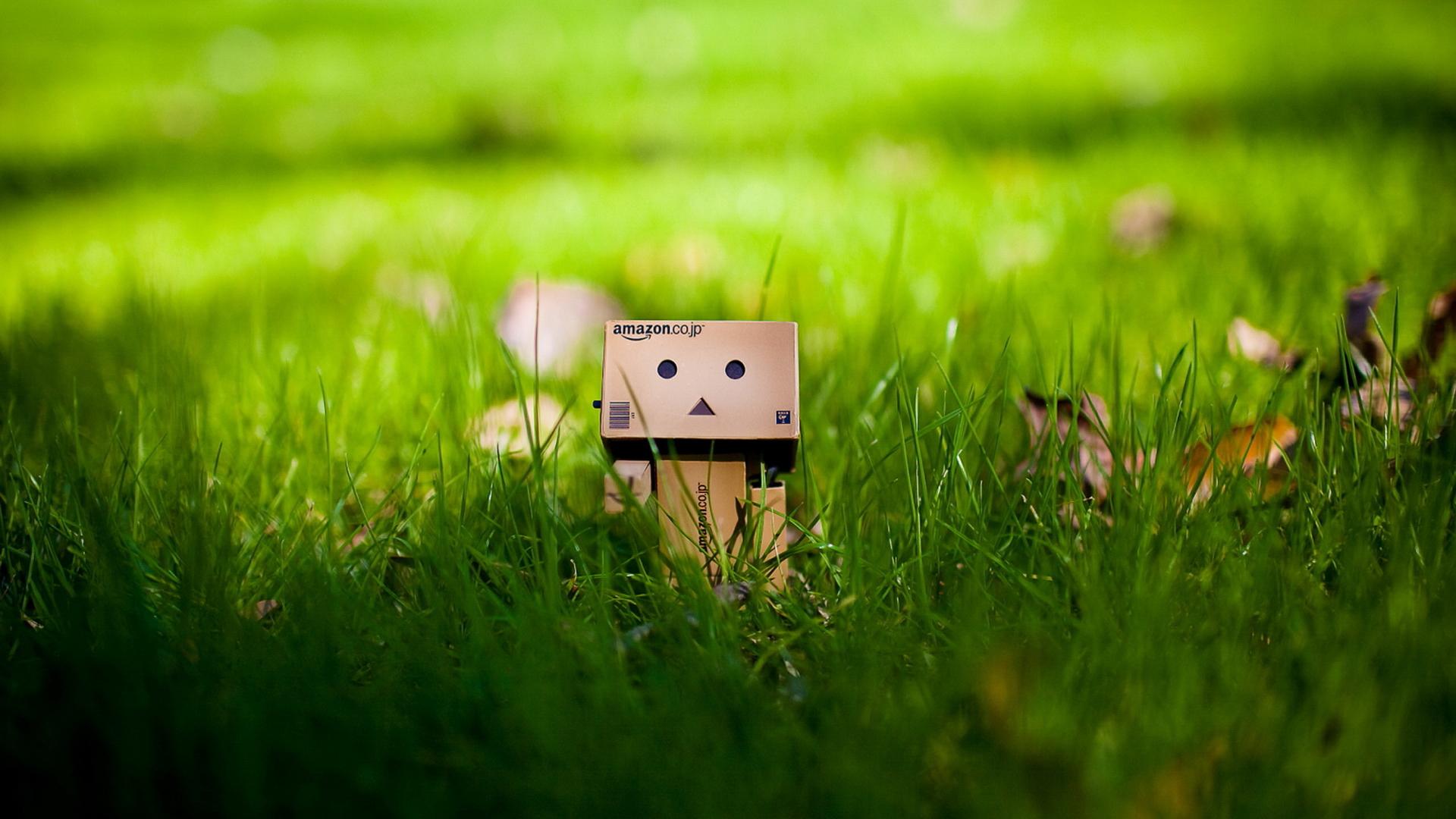 Grass Box People Background Widescreen And HD Background Wallpaper