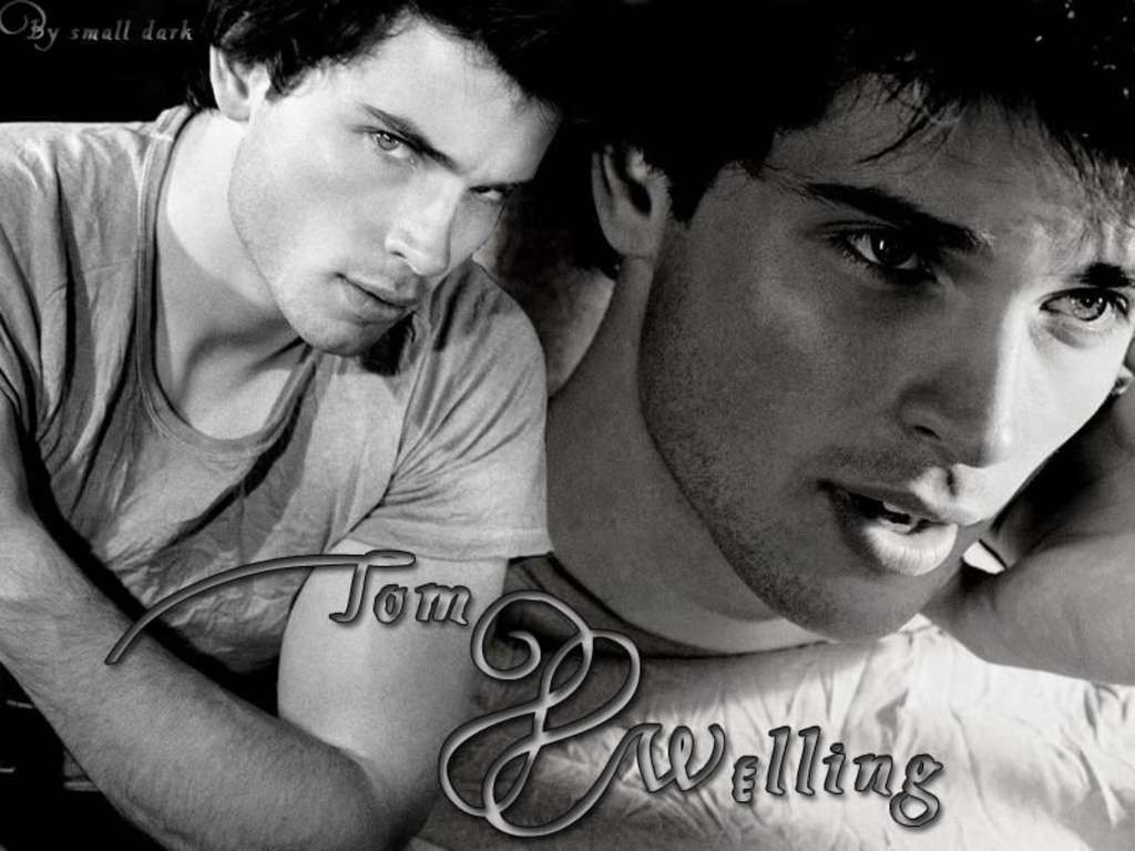 Tom WellingWallpaper   Tom Welling Wallpaper 9739256