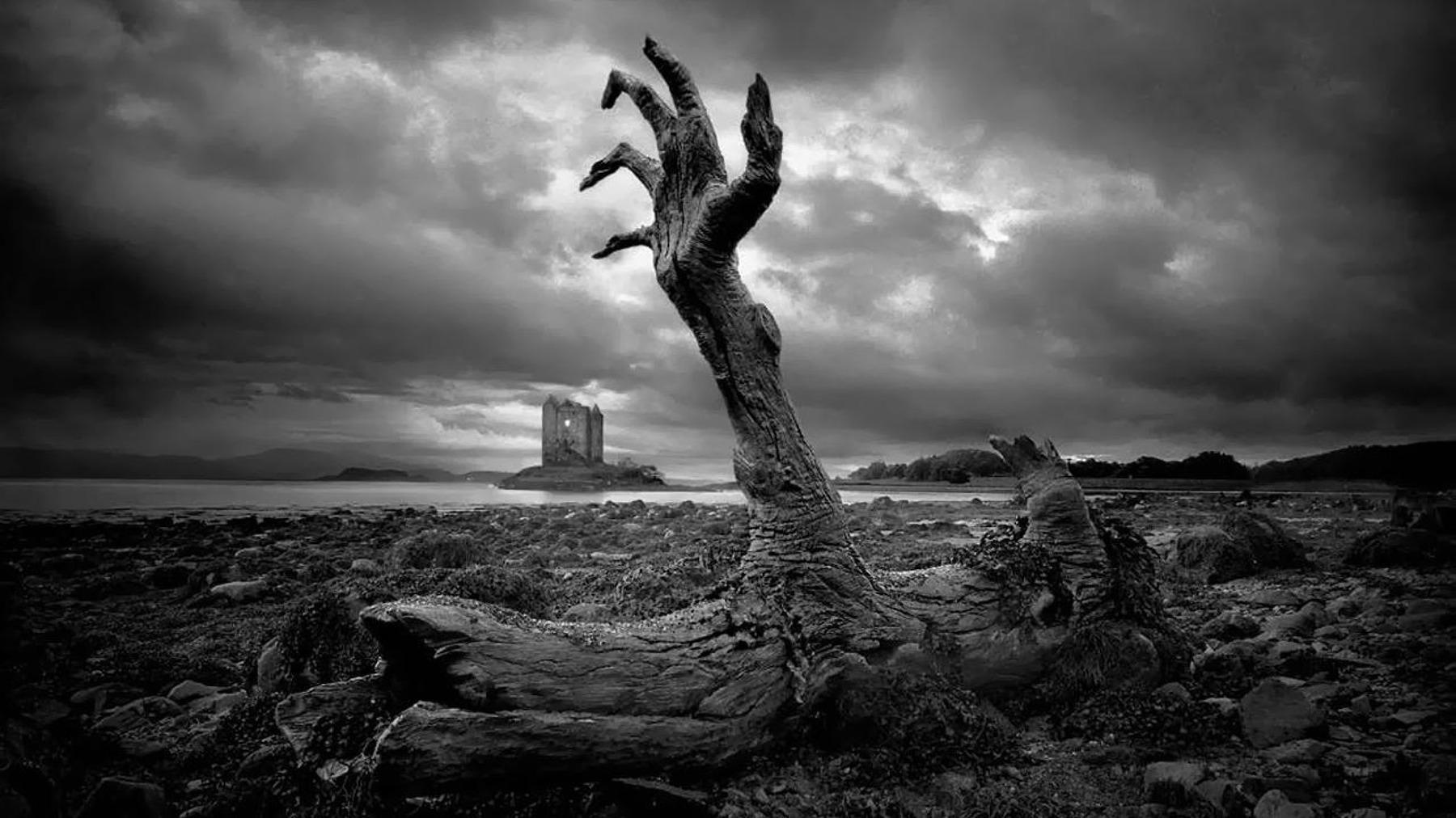 Nature Black White Zombie Hand Wallpaper Raymond Severt M D