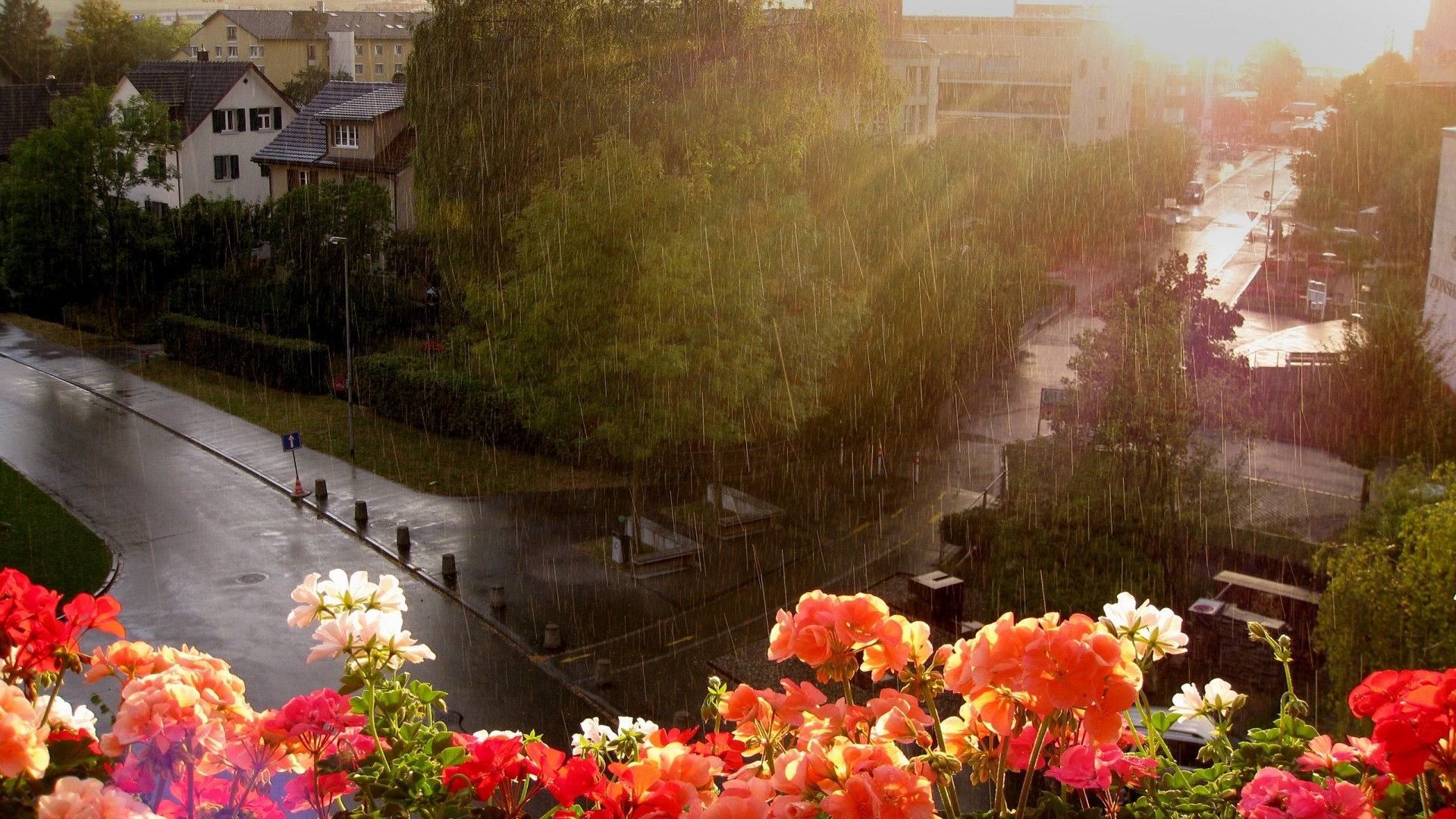 Sunshowers For Your Soul