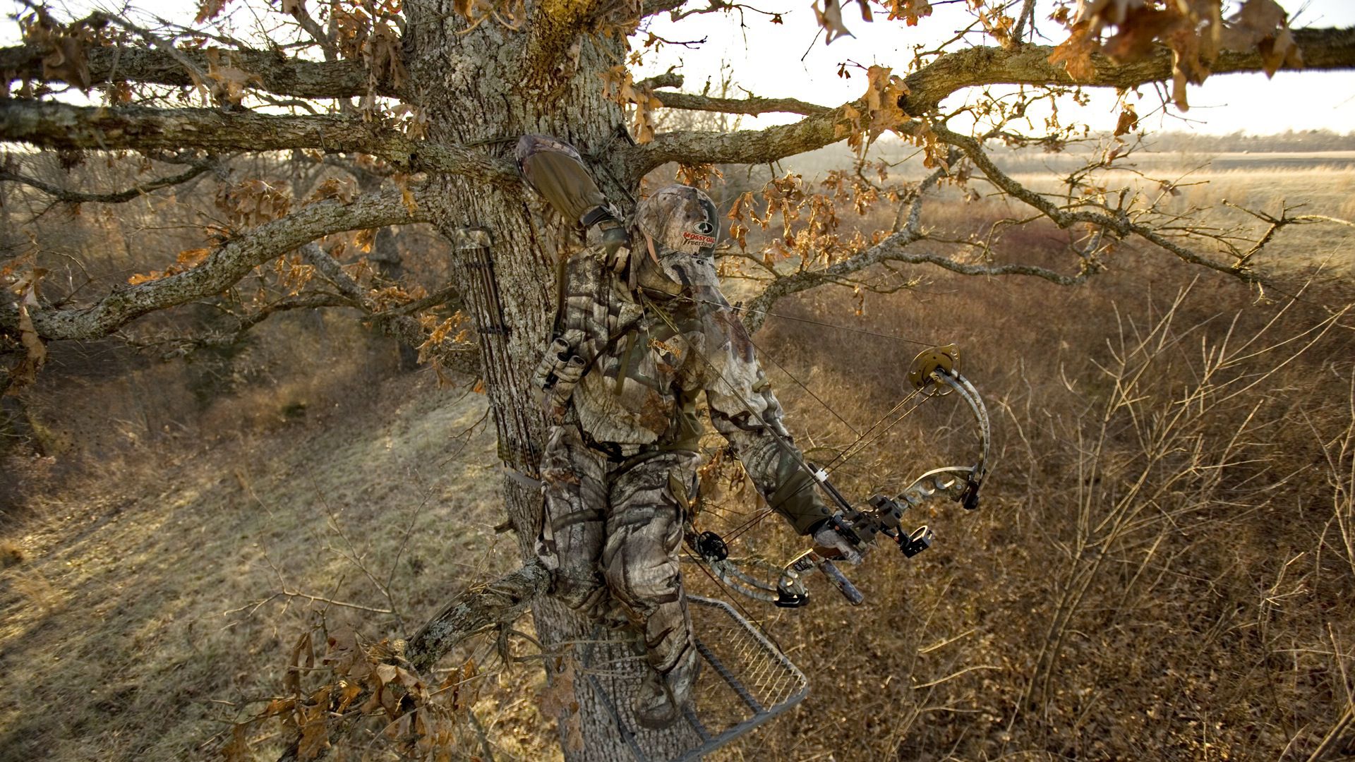 Things To Consider While Bow Hunting Mountain Weekly