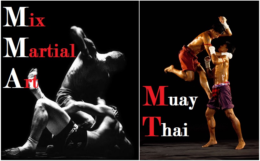 muay thai vs kung fu