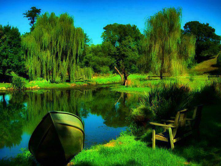 Most Beautiful Natural Scene Tree Boat Wallpaper For Laptop