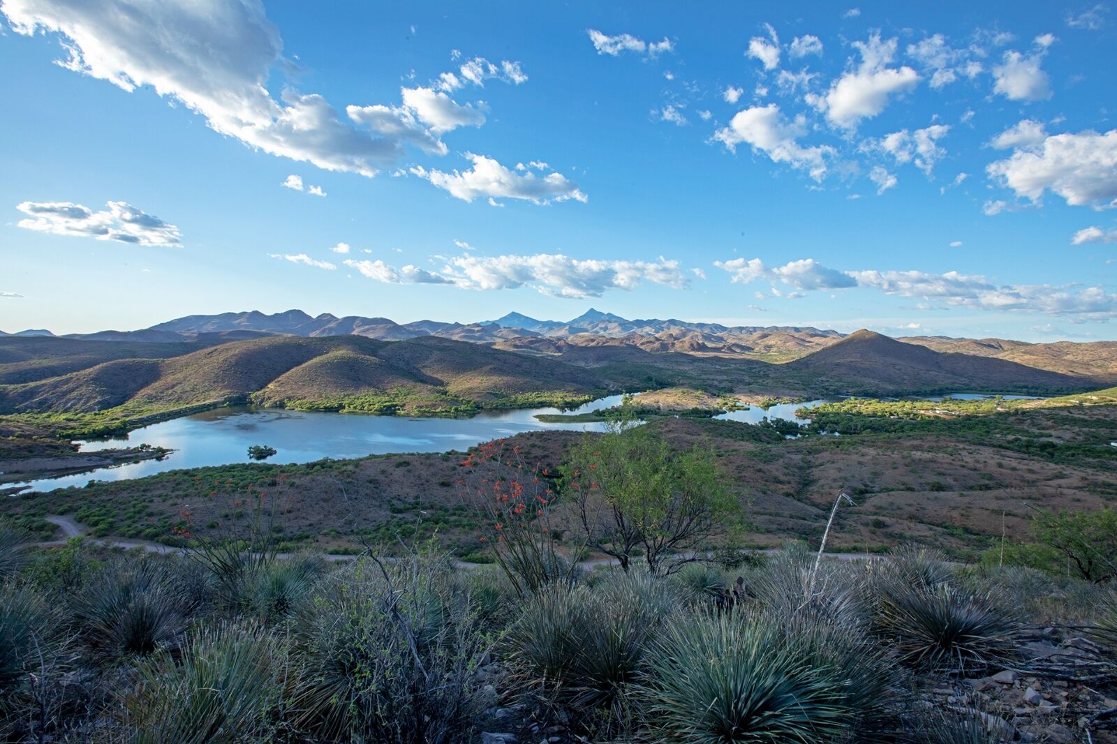 What To Do At Lake Patagonia Arizona Wallpaper