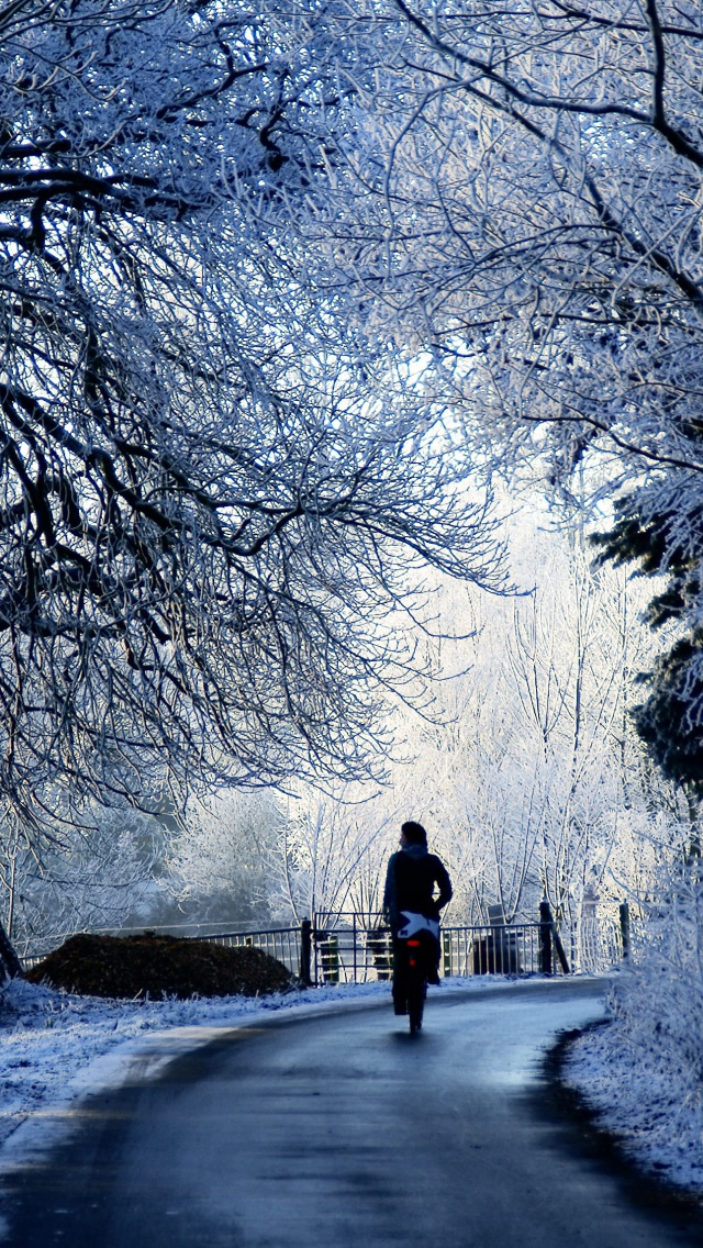 Winter Road Scene iPhone 5s Wallpaper