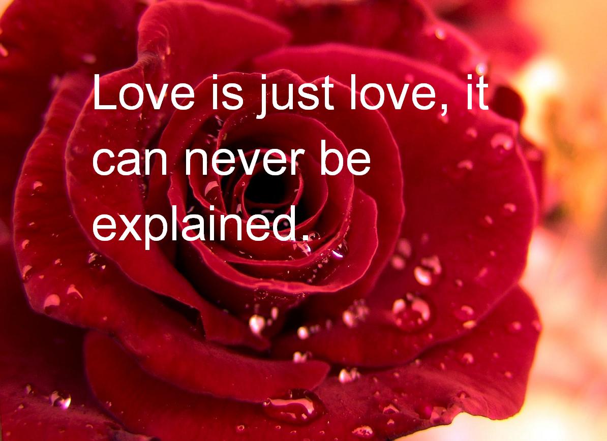 Valentines Day Quotes New Pictures