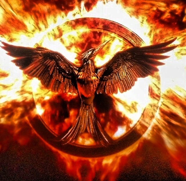 Hunger games mockingjay wallpaper for background Hot HD Wallpapers