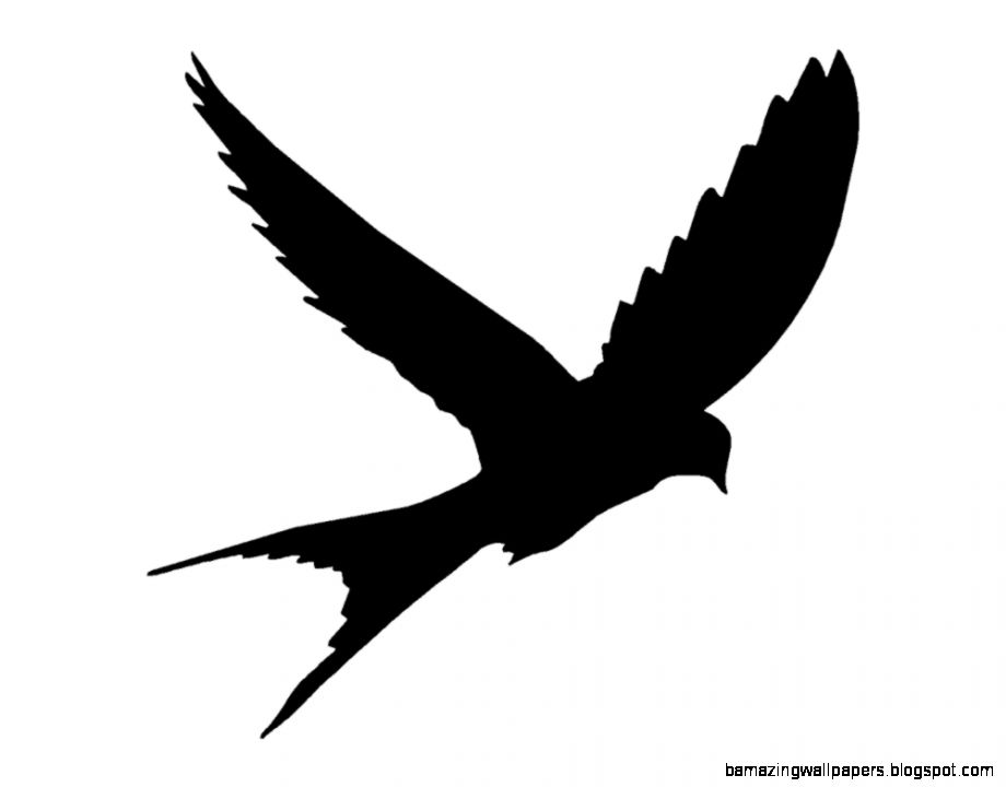 Bird Silhouette Flying Amazing Wallpapers