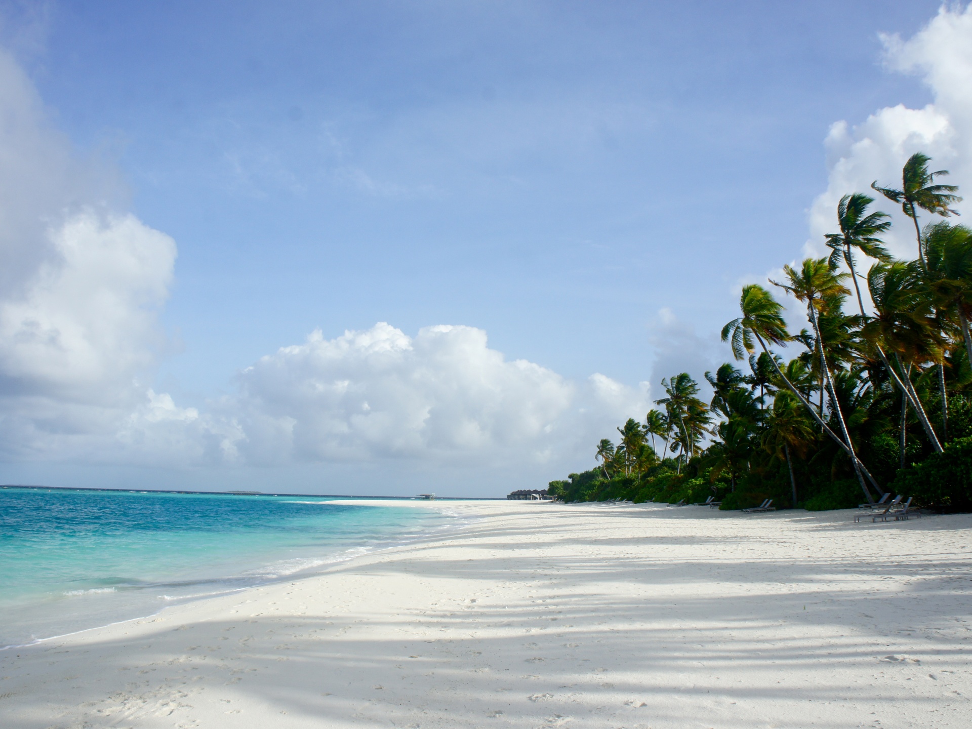 Best Maldives Beach Image Top Collection Bsnscb