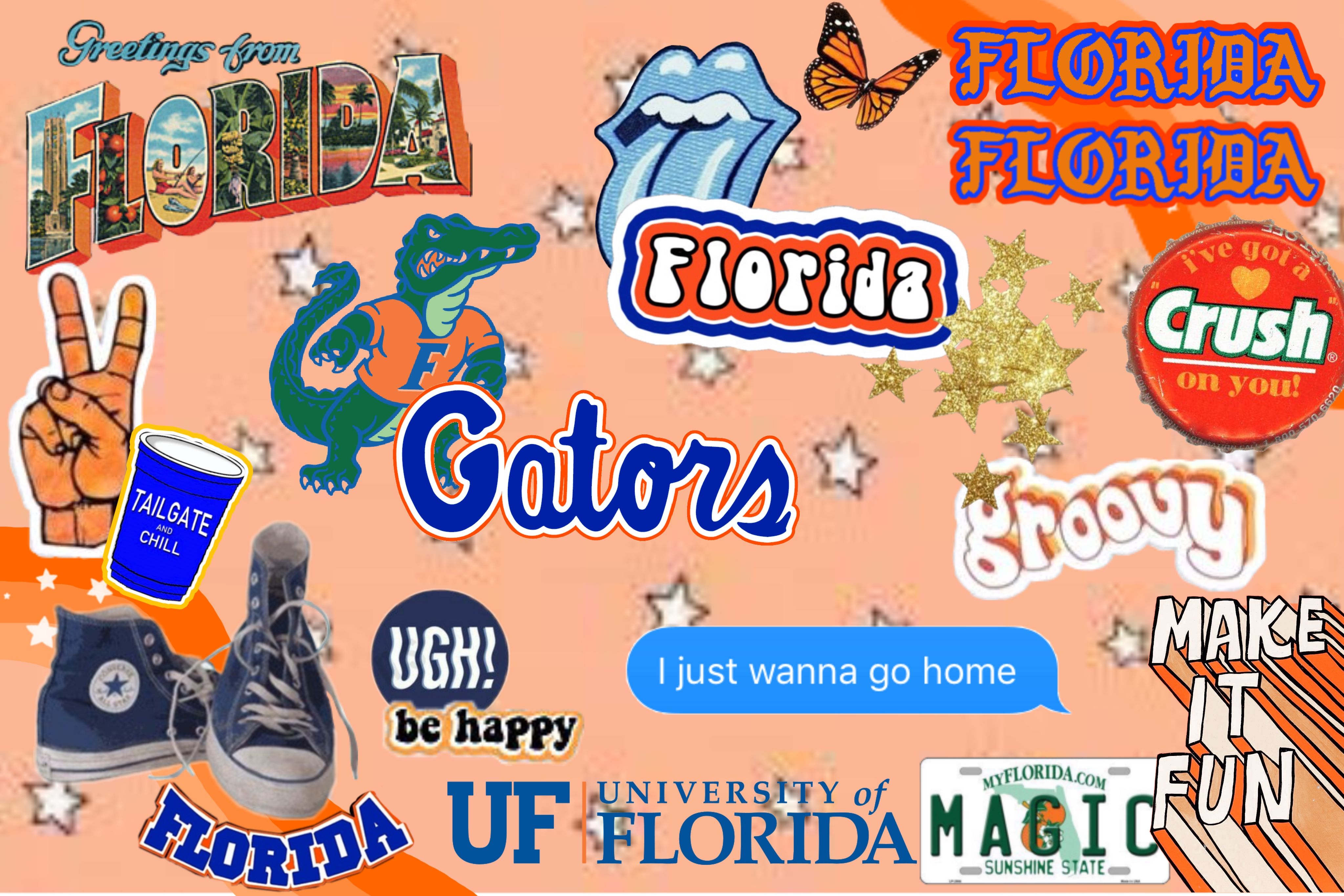 Florida Sunshine State College Wallpaper Diy Clothes