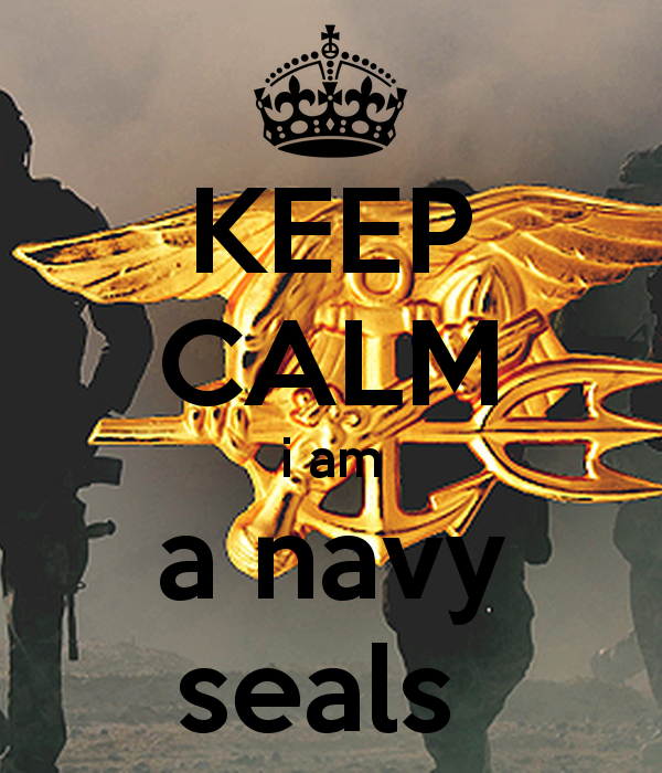 Navy Seal iPhone Wallpaper iPad