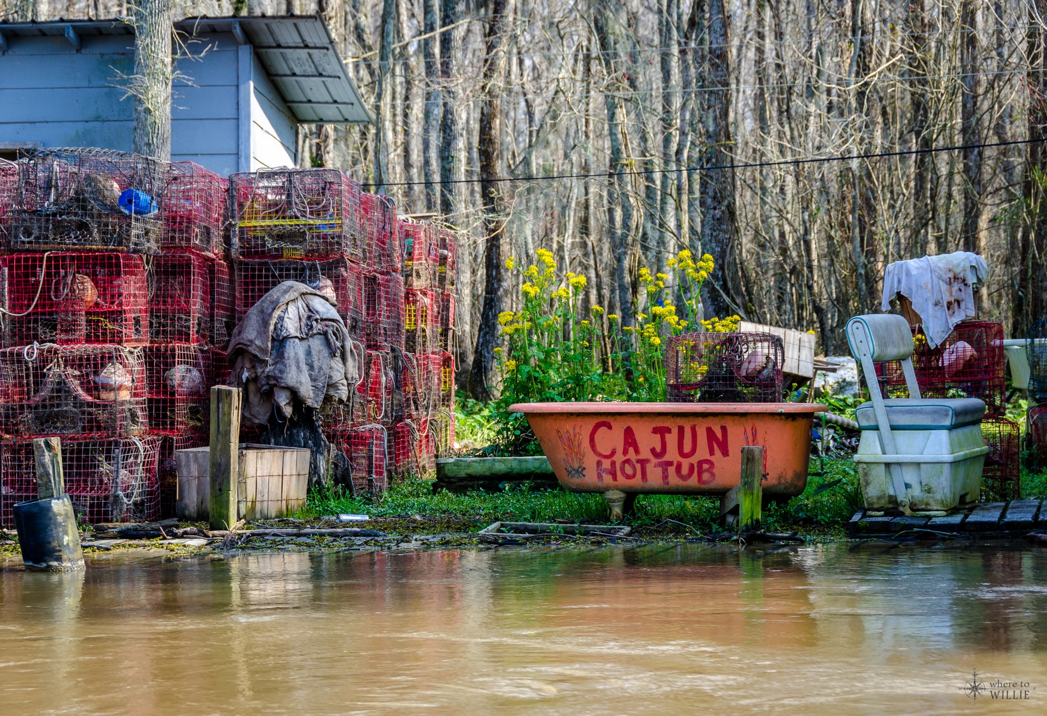 Louisiana Swamp Landscape Pronounced Terr In